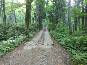 戸隠神社　奥社